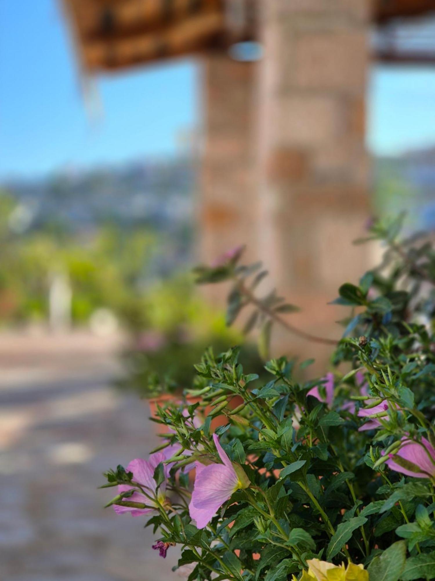 סרנדה Villa Josana מראה חיצוני תמונה
