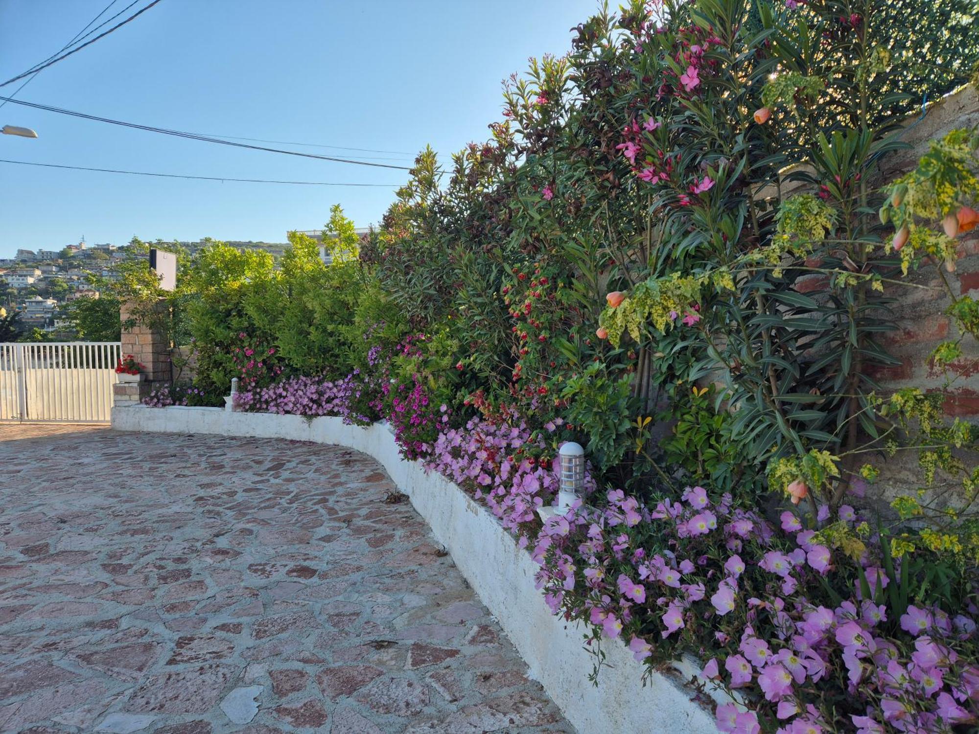 סרנדה Villa Josana מראה חיצוני תמונה
